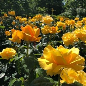 Meet your Posher, Katherine